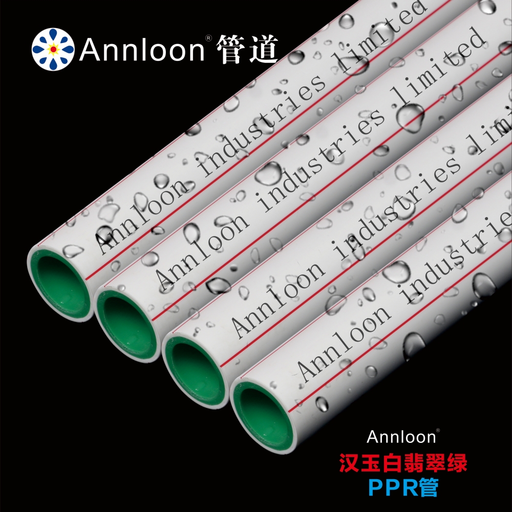 ����������˫��PPR��