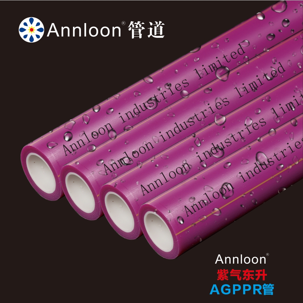 ��������AGPPR��