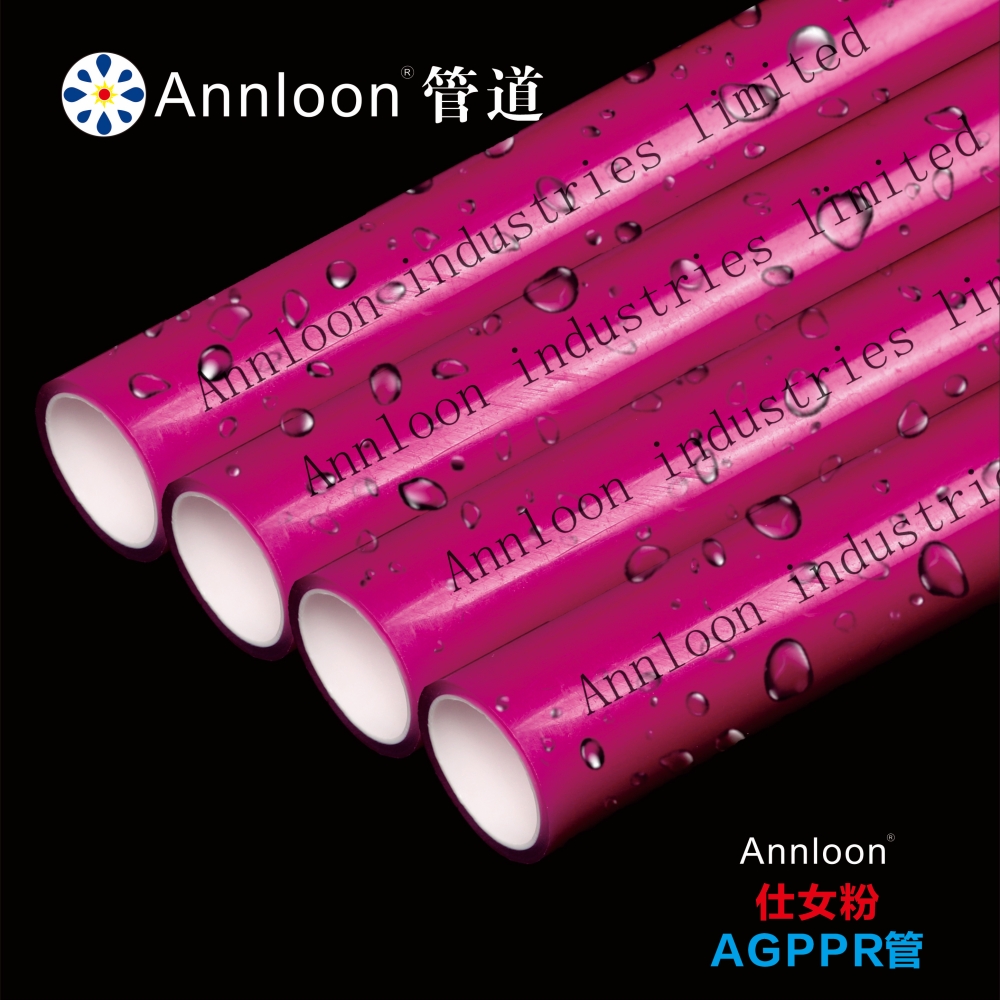 ��Ů��AGPPR��