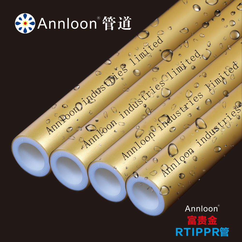 �����RTIPPR��