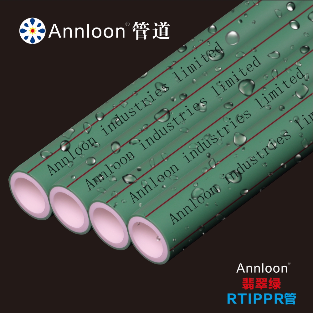 �����RTIPPR��